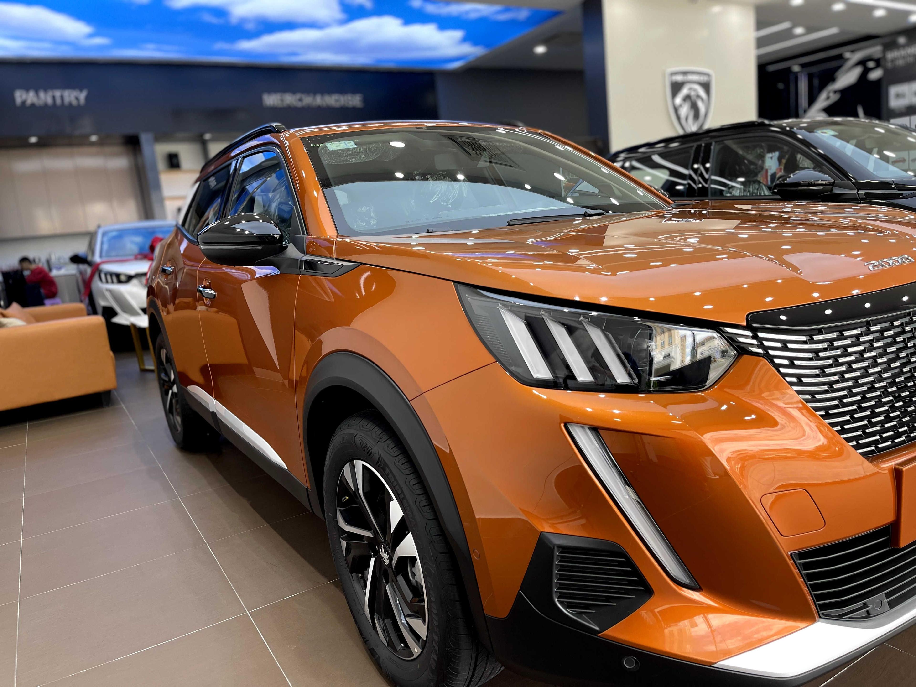 Peugeot Raptor 2010